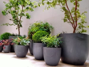 Diseño de Jardines Pequeños