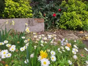 Mantenimiento de Jardines y Zonas verdes