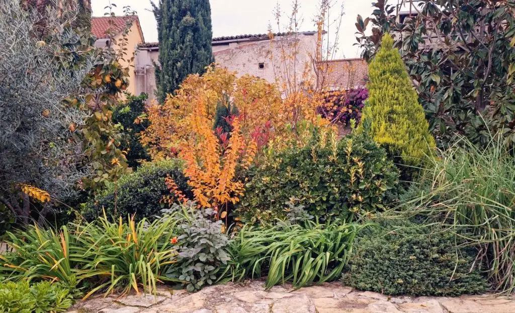 Jardín en otoño